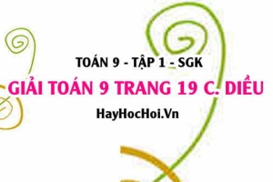 Giải Toán 9 trang 19 tập 1 Cánh Diều